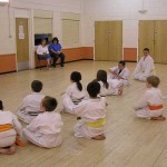 Weekly Karate Classes